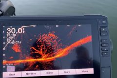 cropped-crappie-1-scaled-1-scaled